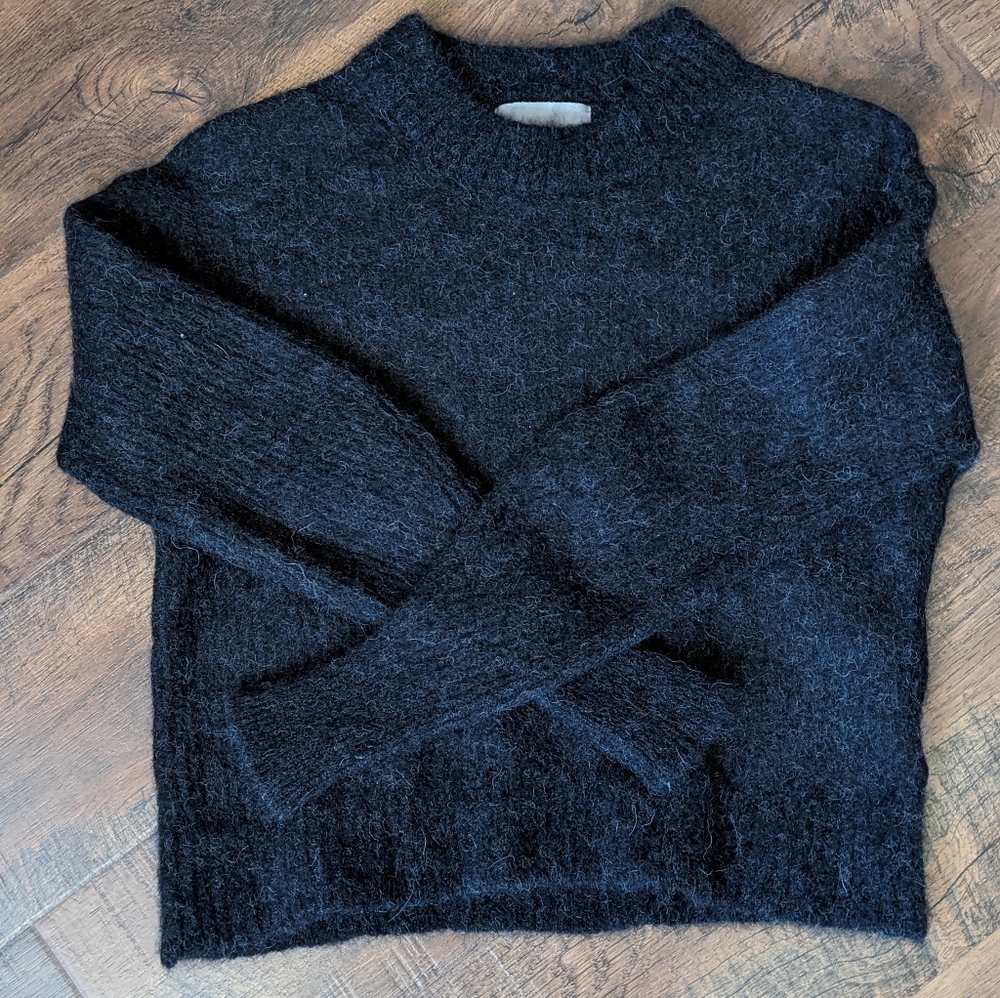 The Cocoon Crew in Alpaca